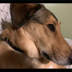 Meet your Posher, Jill